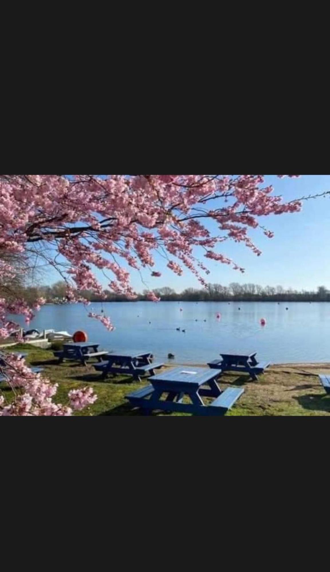 Swan View Retreats # Hottub # Egg Chair # Bbq & Bikes Included 8 Berth Tattershall Eksteriør bilde